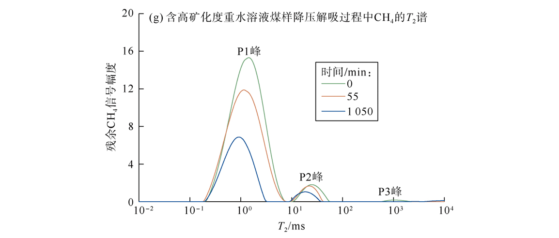 前沿應(yīng)用|基于低場核磁技術(shù)的壓裂液礦化度對深部煤層氣解吸機(jī)理的研究